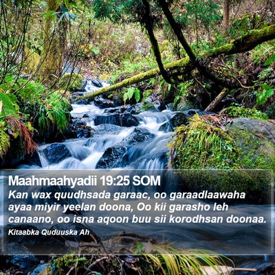 Maahmaahyadii 19:25 SOM Bible Verse Image