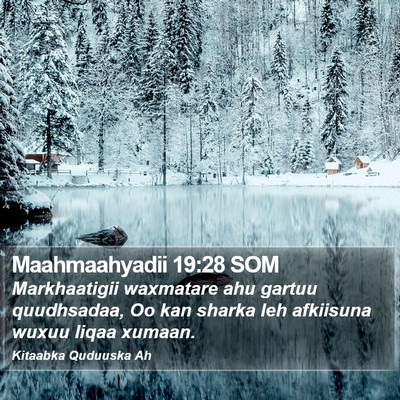 Maahmaahyadii 19:28 SOM Bible Verse Image