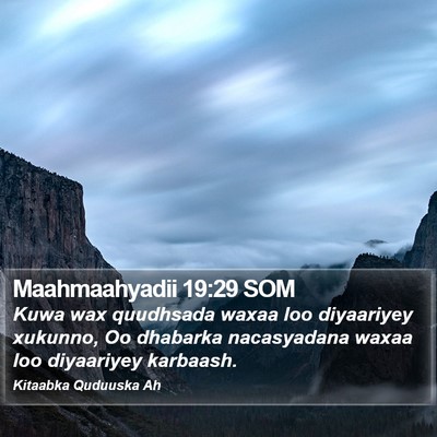 Maahmaahyadii 19:29 SOM Bible Verse Image