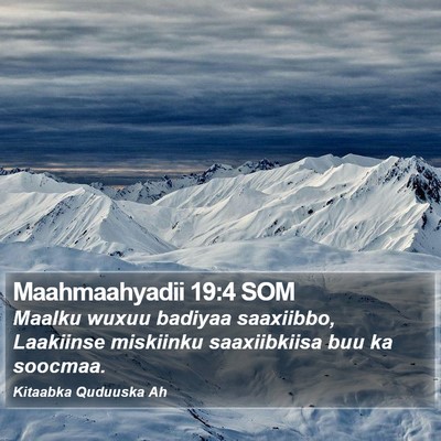 Maahmaahyadii 19:4 SOM Bible Verse Image