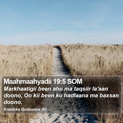 Maahmaahyadii 19:5 SOM Bible Verse Image