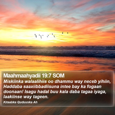 Maahmaahyadii 19:7 SOM Bible Verse Image