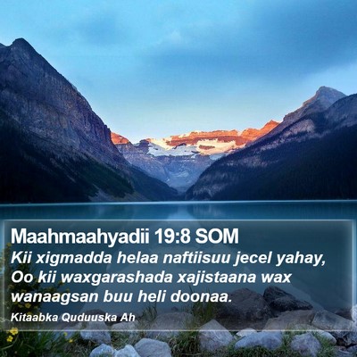 Maahmaahyadii 19:8 SOM Bible Verse Image