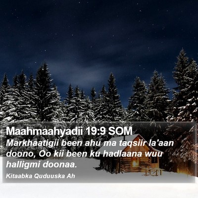 Maahmaahyadii 19:9 SOM Bible Verse Image