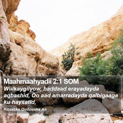 Maahmaahyadii 2:1 SOM Bible Verse Image