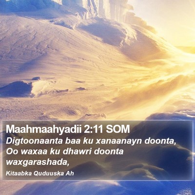 Maahmaahyadii 2:11 SOM Bible Verse Image