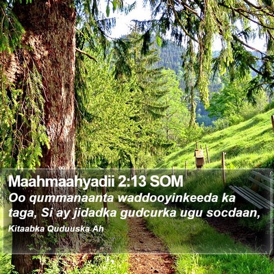Maahmaahyadii 2:13 SOM Bible Verse Image