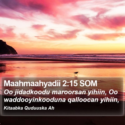 Maahmaahyadii 2:15 SOM Bible Verse Image