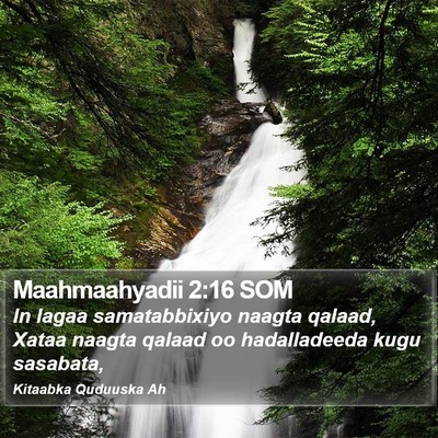 Maahmaahyadii 2:16 SOM Bible Verse Image