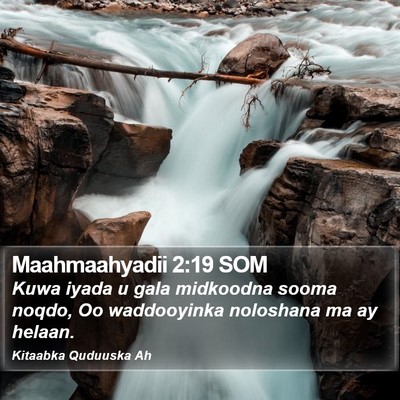 Maahmaahyadii 2:19 SOM Bible Verse Image