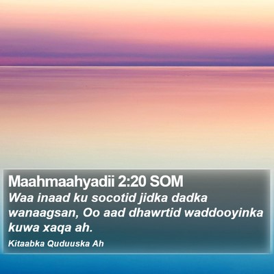 Maahmaahyadii 2:20 SOM Bible Verse Image