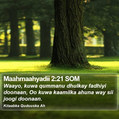 Maahmaahyadii 2:21 SOM Bible Verse Image