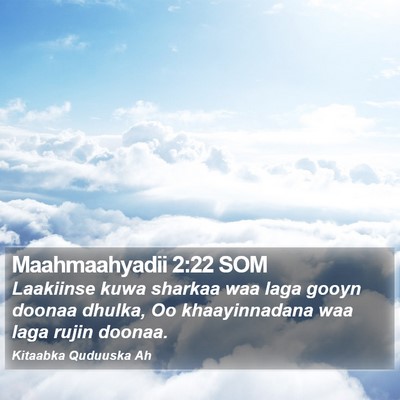 Maahmaahyadii 2:22 SOM Bible Verse Image