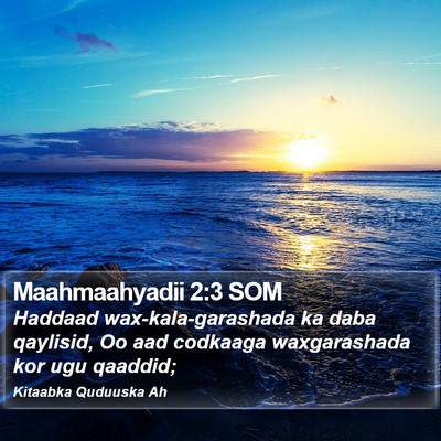 Maahmaahyadii 2:3 SOM Bible Verse Image