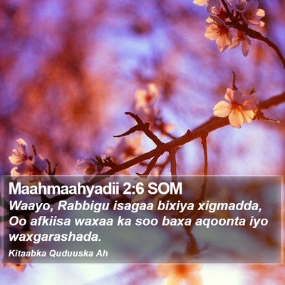Maahmaahyadii 2:6 SOM Bible Verse Image