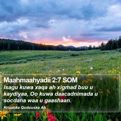 Maahmaahyadii 2:7 SOM Bible Verse Image