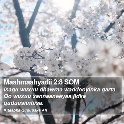 Maahmaahyadii 2:8 SOM Bible Verse Image