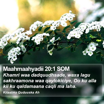 Maahmaahyadii 20:1 SOM Bible Verse Image