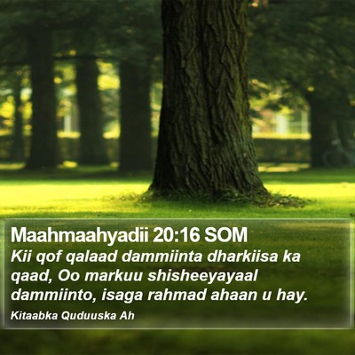 Maahmaahyadii 20:16 SOM Bible Verse Image
