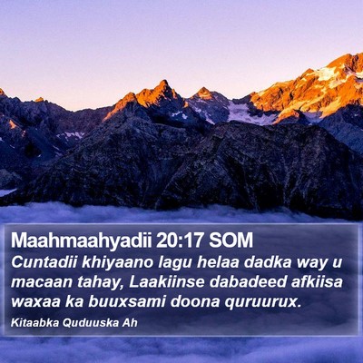 Maahmaahyadii 20:17 SOM Bible Verse Image