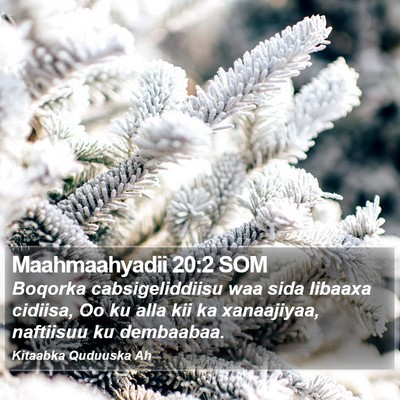 Maahmaahyadii 20:2 SOM Bible Verse Image