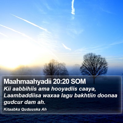 Maahmaahyadii 20:20 SOM Bible Verse Image