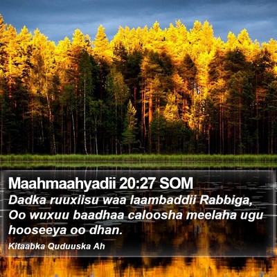 Maahmaahyadii 20:27 SOM Bible Verse Image