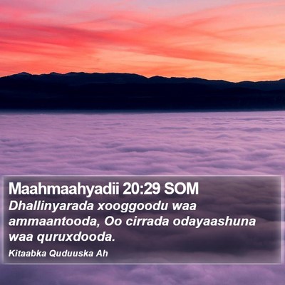 Maahmaahyadii 20:29 SOM Bible Verse Image