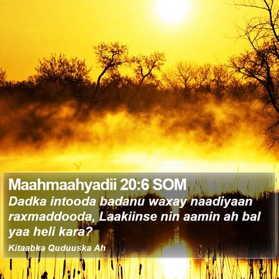 Maahmaahyadii 20:6 SOM Bible Verse Image