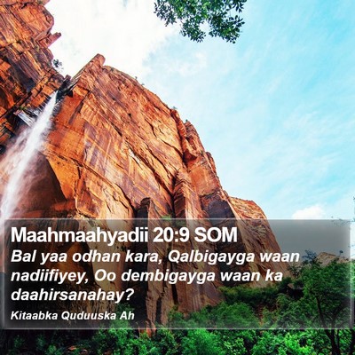 Maahmaahyadii 20:9 SOM Bible Verse Image