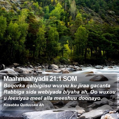 Maahmaahyadii 21:1 SOM Bible Verse Image