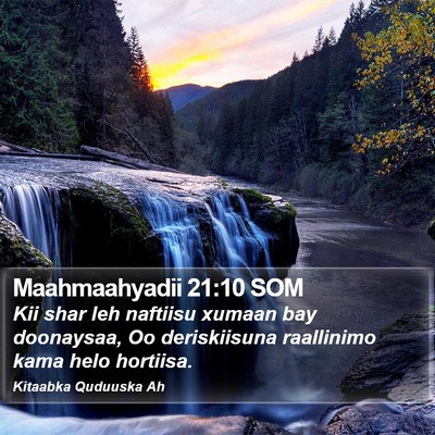 Maahmaahyadii 21:10 SOM Bible Verse Image