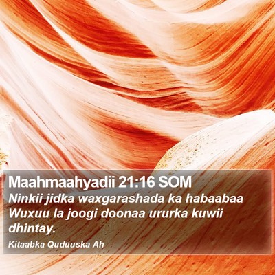 Maahmaahyadii 21:16 SOM Bible Verse Image