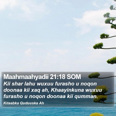 Maahmaahyadii 21:18 SOM Bible Verse Image