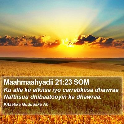 Maahmaahyadii 21:23 SOM Bible Verse Image