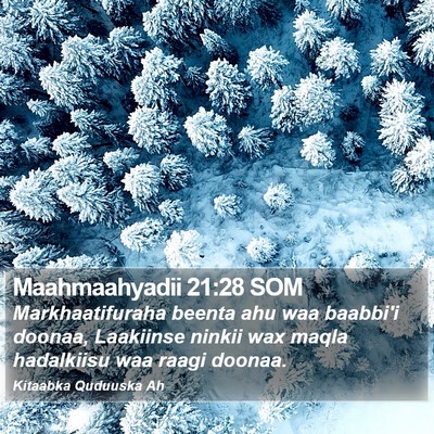 Maahmaahyadii 21:28 SOM Bible Verse Image