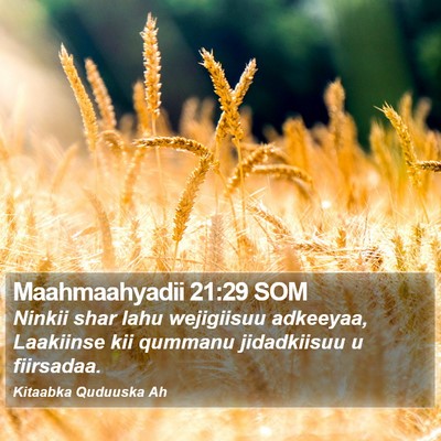 Maahmaahyadii 21:29 SOM Bible Verse Image