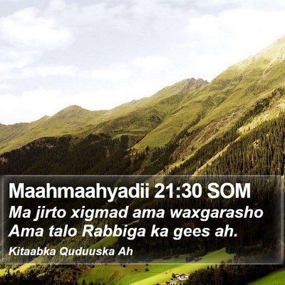 Maahmaahyadii 21:30 SOM Bible Verse Image