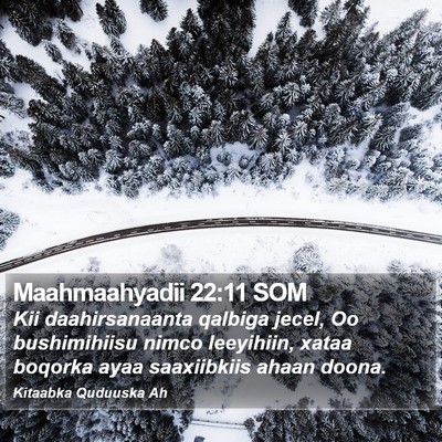 Maahmaahyadii 22:11 SOM Bible Verse Image