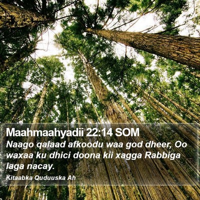 Maahmaahyadii 22:14 SOM Bible Verse Image