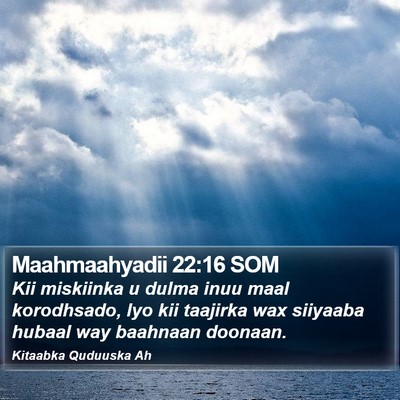 Maahmaahyadii 22:16 SOM Bible Verse Image