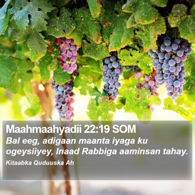 Maahmaahyadii 22:19 SOM Bible Verse Image