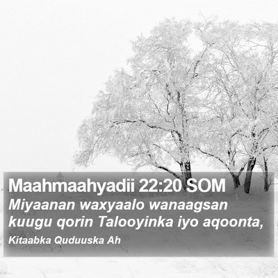 Maahmaahyadii 22:20 SOM Bible Verse Image