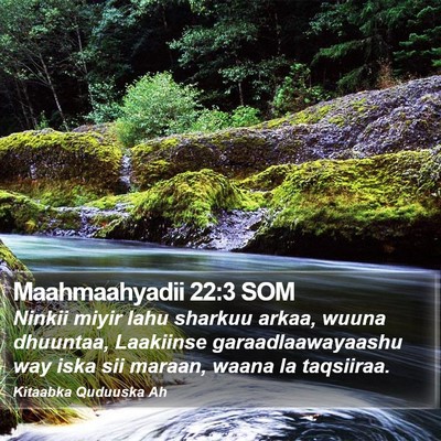 Maahmaahyadii 22:3 SOM Bible Verse Image