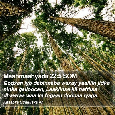 Maahmaahyadii 22:5 SOM Bible Verse Image