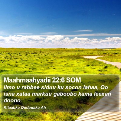 Maahmaahyadii 22:6 SOM Bible Verse Image