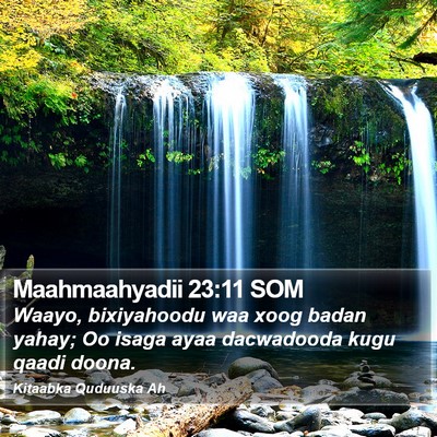Maahmaahyadii 23:11 SOM Bible Verse Image