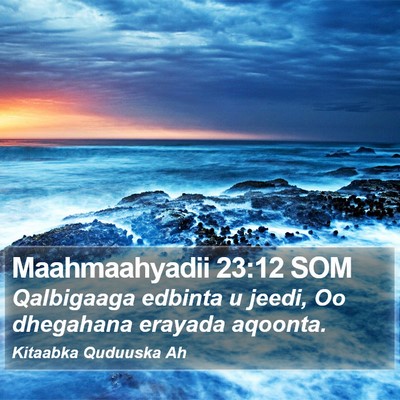 Maahmaahyadii 23:12 SOM Bible Verse Image