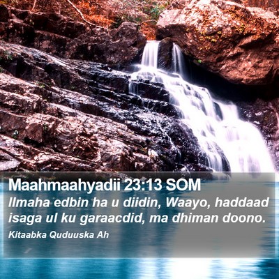 Maahmaahyadii 23:13 SOM Bible Verse Image
