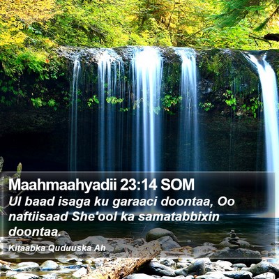 Maahmaahyadii 23:14 SOM Bible Verse Image